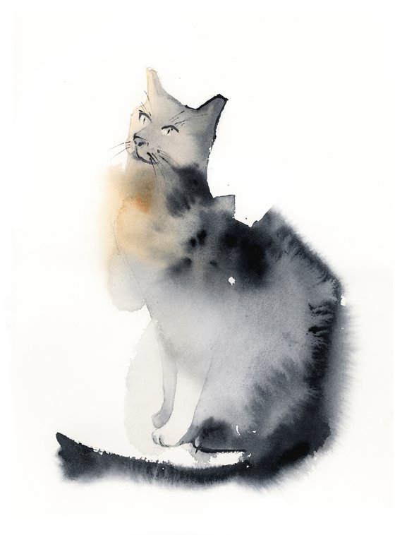 Sitting Cat