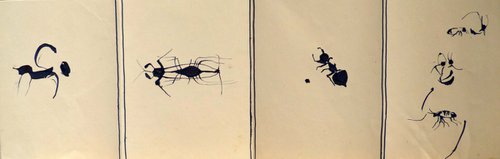 Study of insects, accordion 50x15 cm by Frederic Belaubre