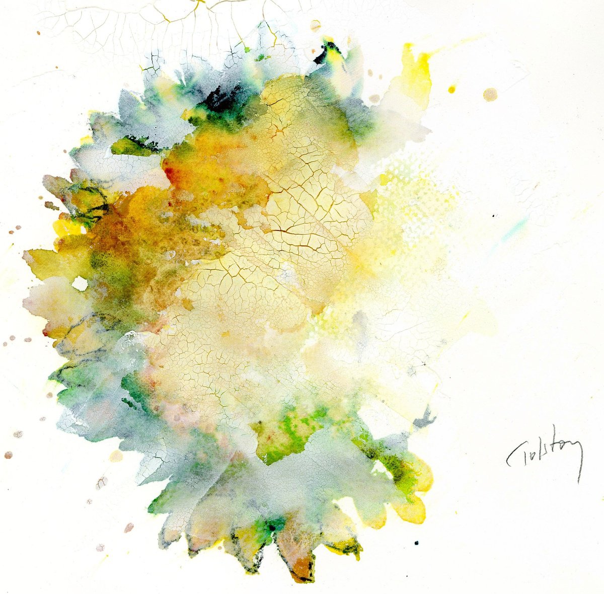 Impressionistic Botanical Watercolour By Alex Tolstoy, 10 X 10, Sunflower & After Paste, Original Artwork