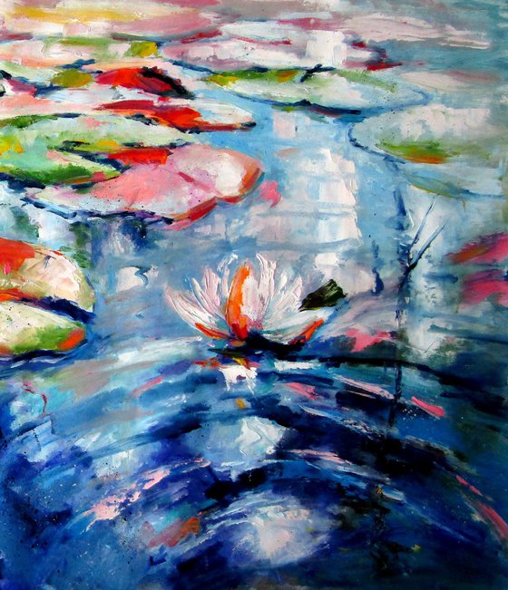 Colorful water lilies