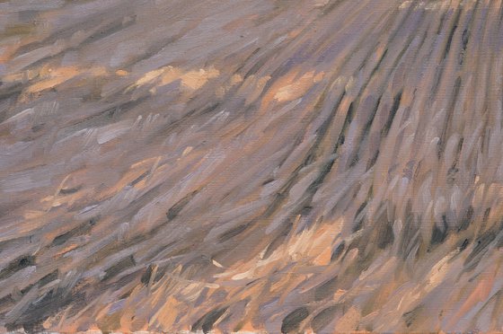 After the Harvest, Morning Light