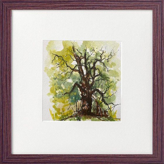 Oak tree watercolour