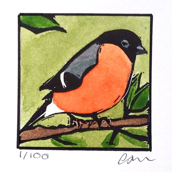 Bullfinch