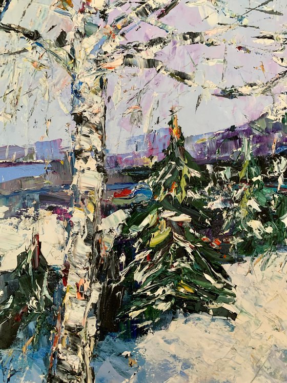 Birch trees in winter