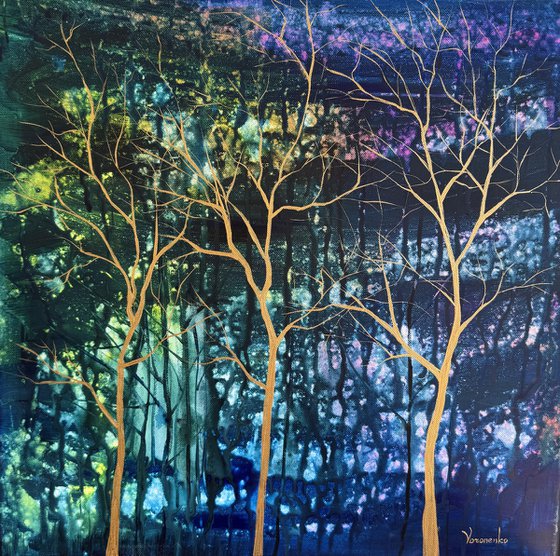 Twilight in a Rainy forest