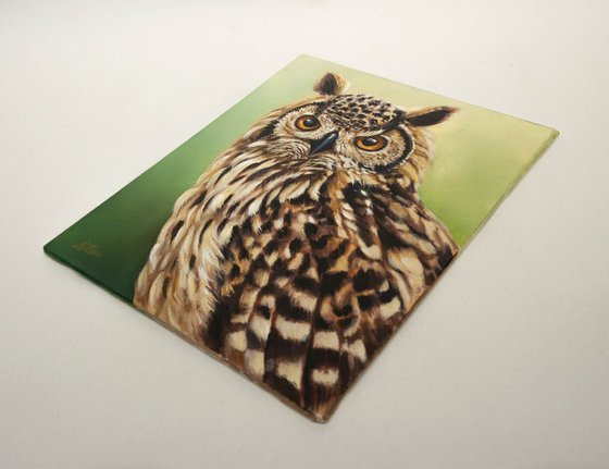 "Eyes of Fire" — Eurasian Eagle-Owl Portrait