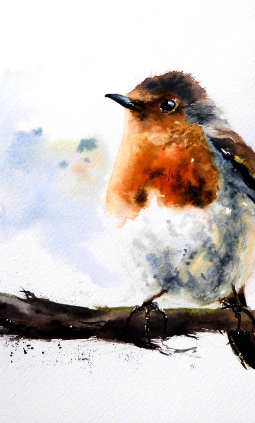 A Proud Robin by Graham Kemp