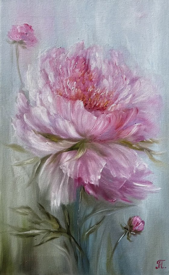 Magic peonies series - Soft Peony of Love