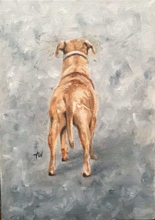 Sunshine the staffie/lab cross by Tracey Walker