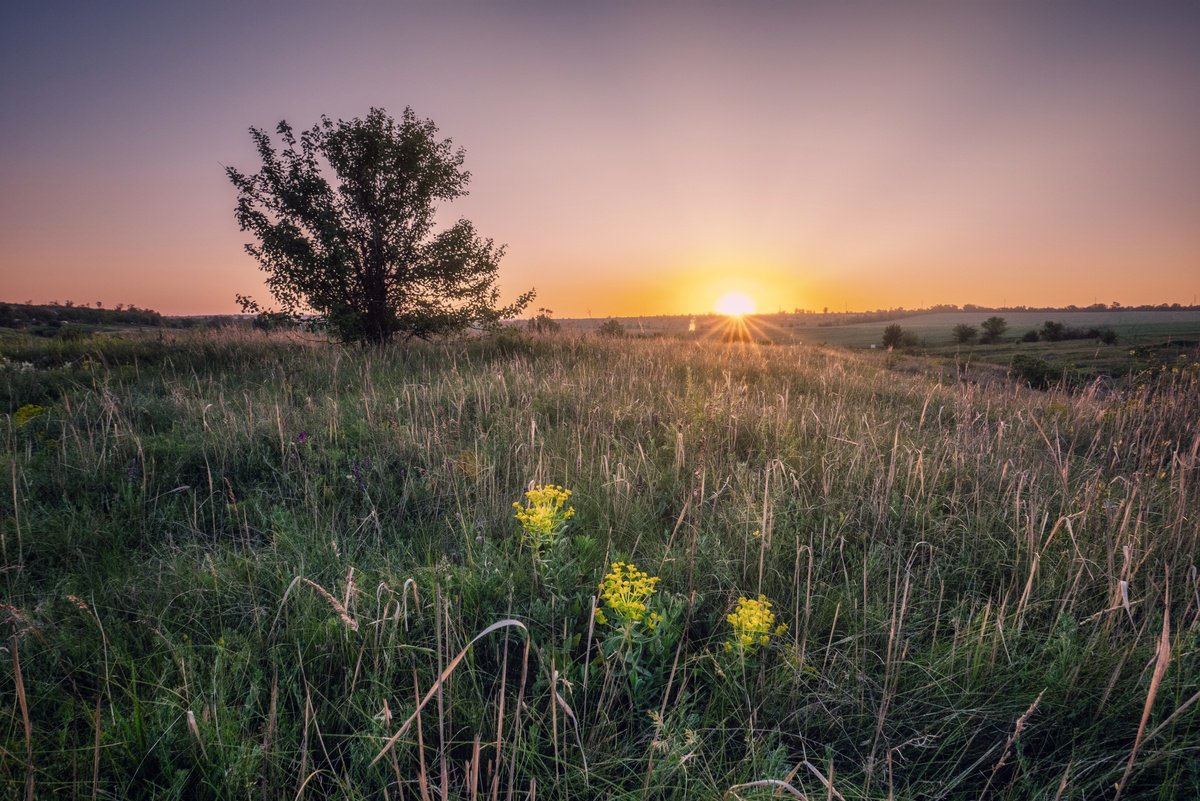 Beautiful morning by Vlad Durniev