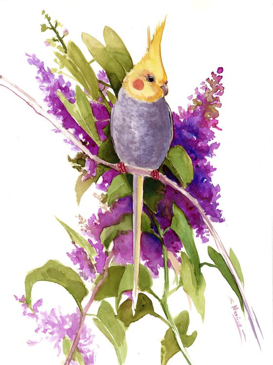 Cockatiel parrot Painting