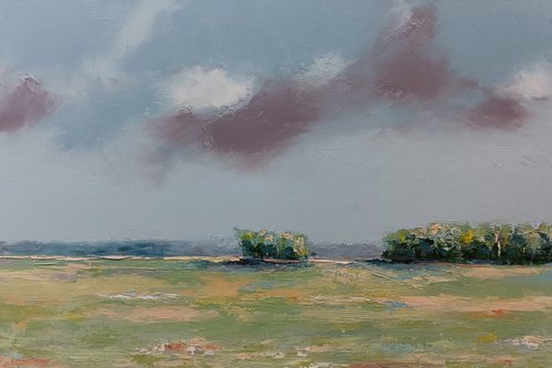 Landscape in my area. Landscape oil painting. by Marinko Šaric