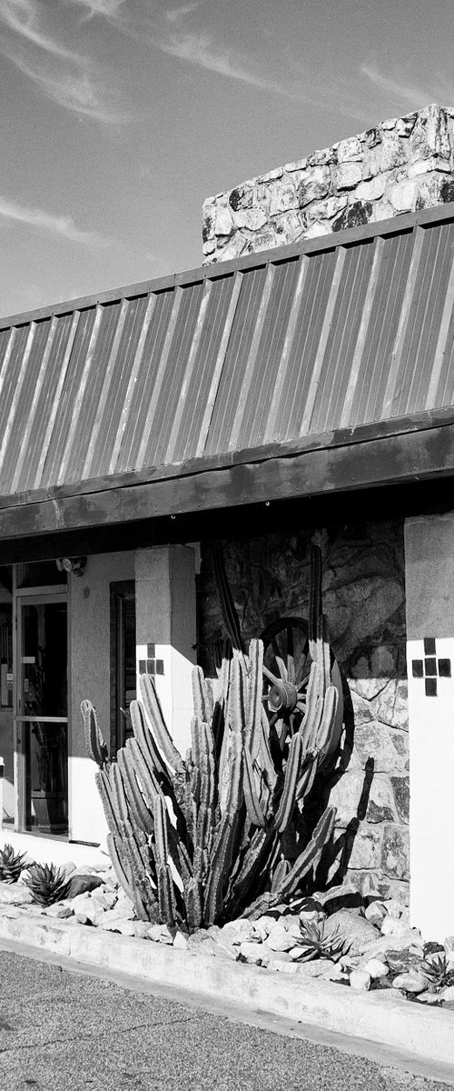 MOTEL CACTUS Desert Hot Springs CA by William Dey