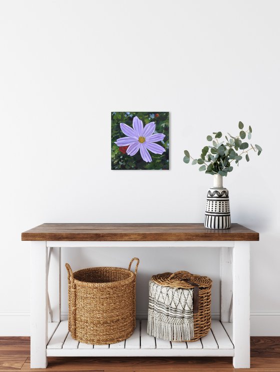 Purple Cosmos Flower