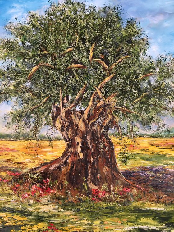Olive Tree