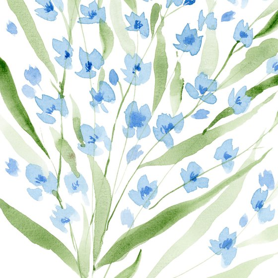 Forget-me-not watercolor
