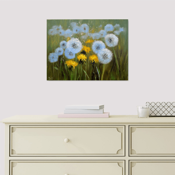 Delicate dandelions
