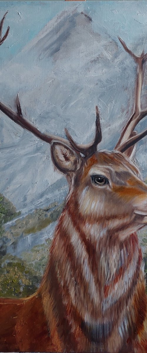 Majestic Deer by Ira Whittaker