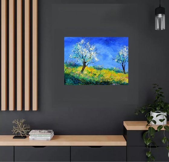 Spring in my countryside - 8624