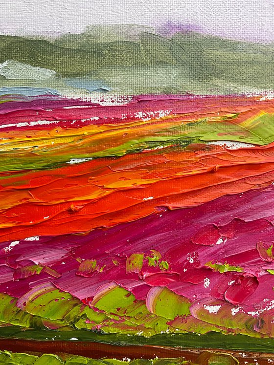 Tulip Fields Serenity