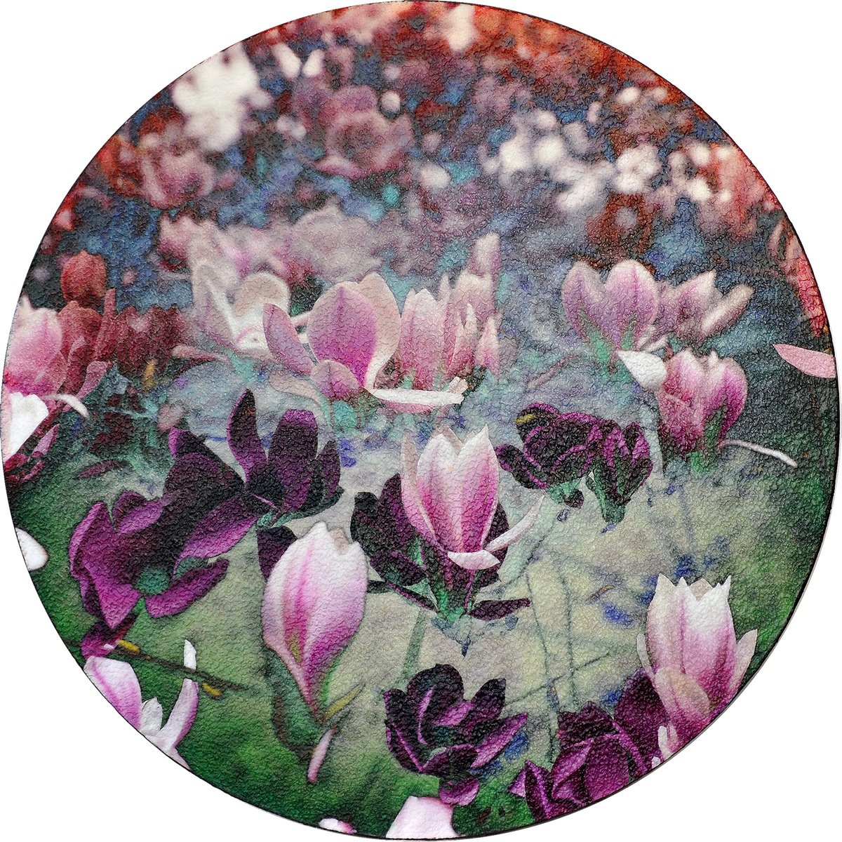 Magnolia (dianegative) by Karin Vermeer