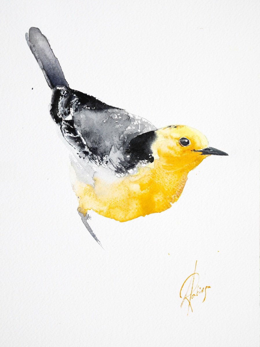 Animal Watercolour By Andrzej Rabiega, 9 X 12, Citrine Wagtail, Original Artwork