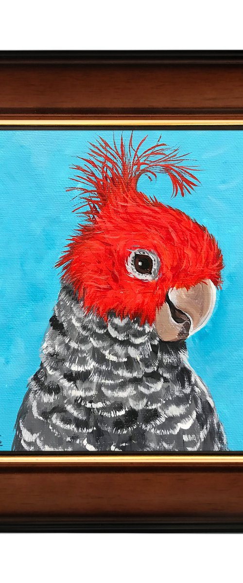 Gang-gang cockatoo portrait by Irina Redine