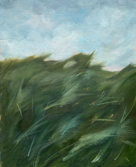Quiet field 3