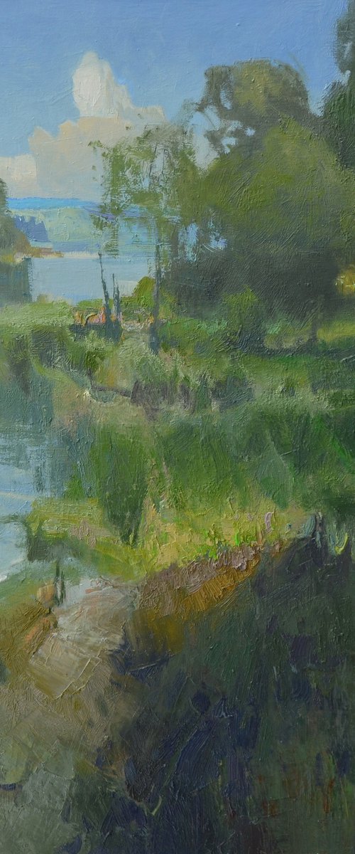 Grassy Coast by Vytautas Laisonas