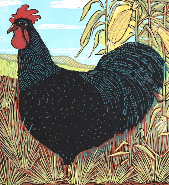 Rooster in the Cornfield