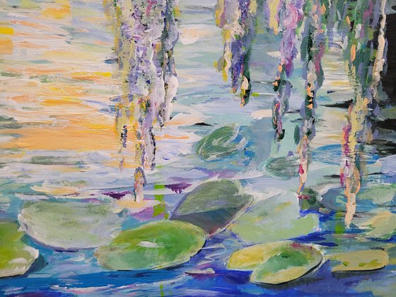 Water lilies in the morning light