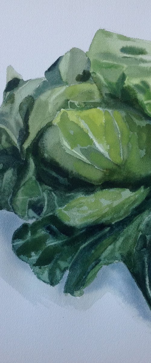 Cabbage #1 2022 by Anyck Alvarez Kerloch
