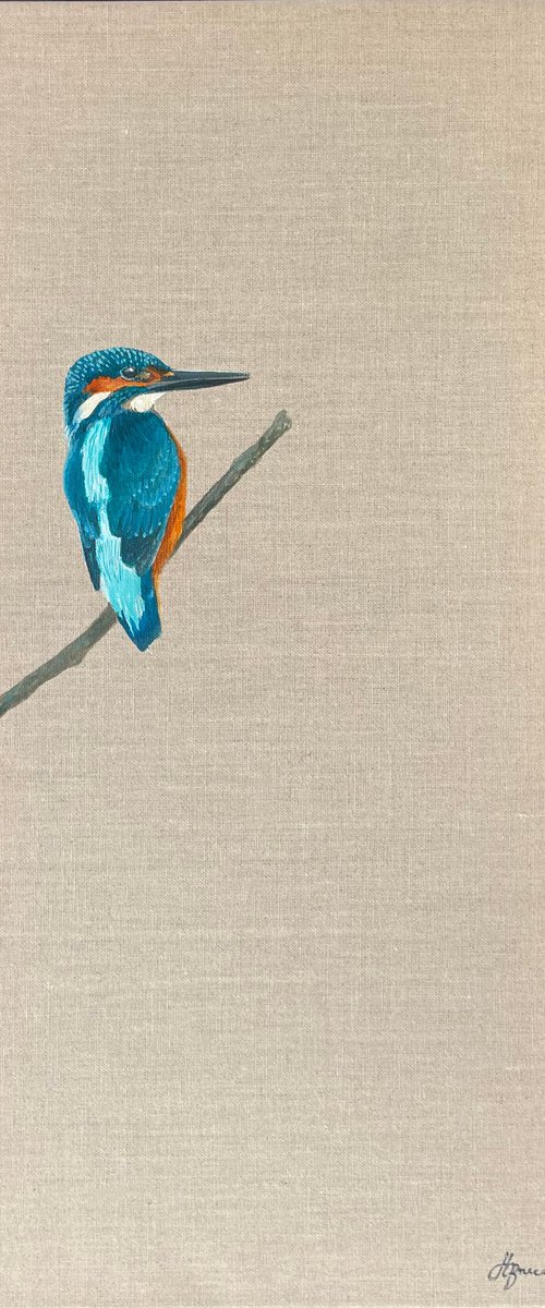 British Kingfisher by Hannah  Bruce