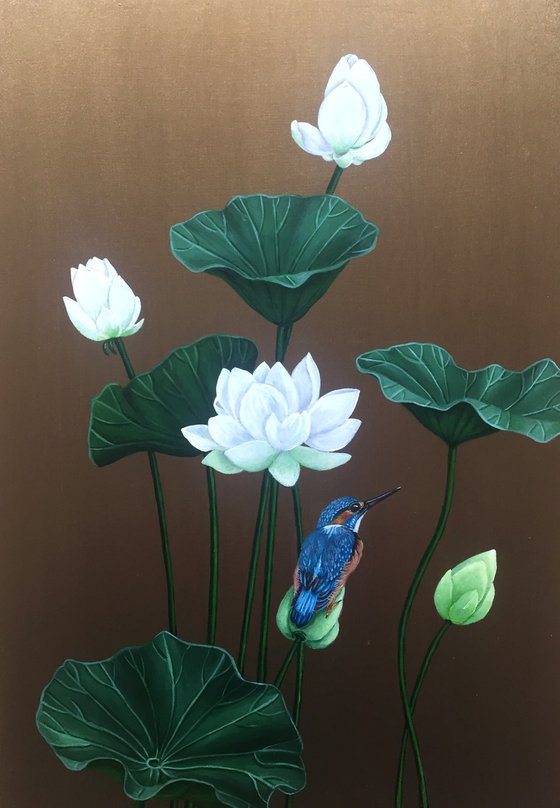 Martin pescatore su fiore di loto