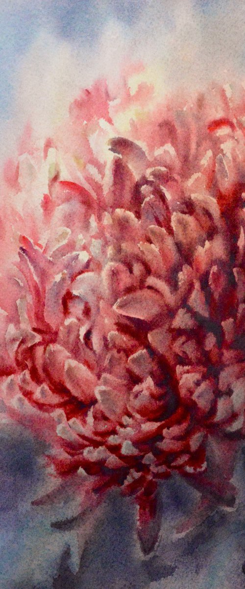 Chrysanthemum by Lida Duchnewitsch