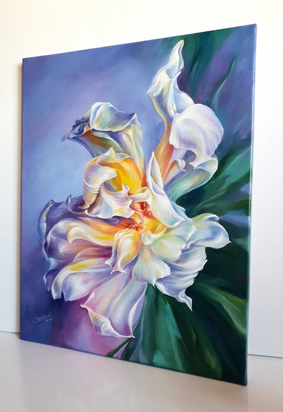 Radiance - oil on canvas, expressive flower painting