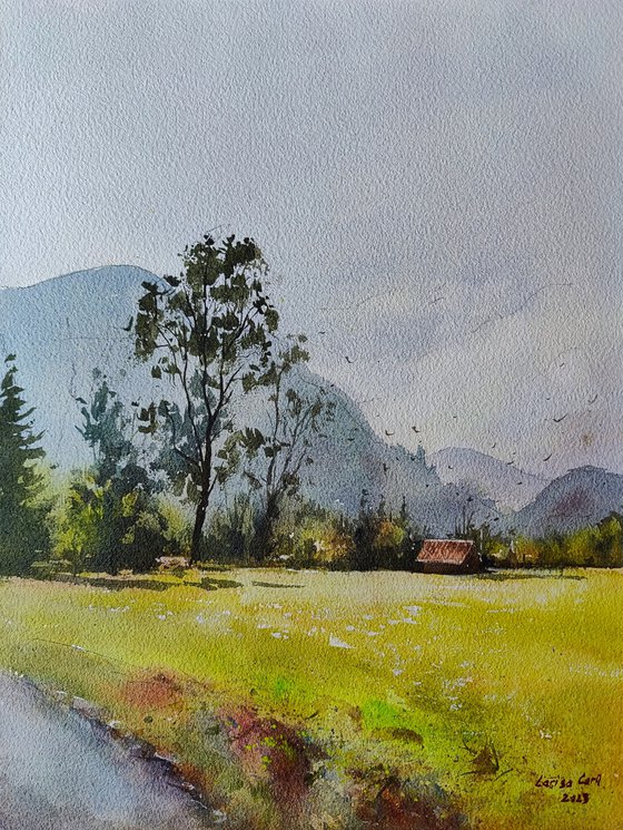 Bohinj valley Slovenia Original watercolor painting (2023), Green European nature