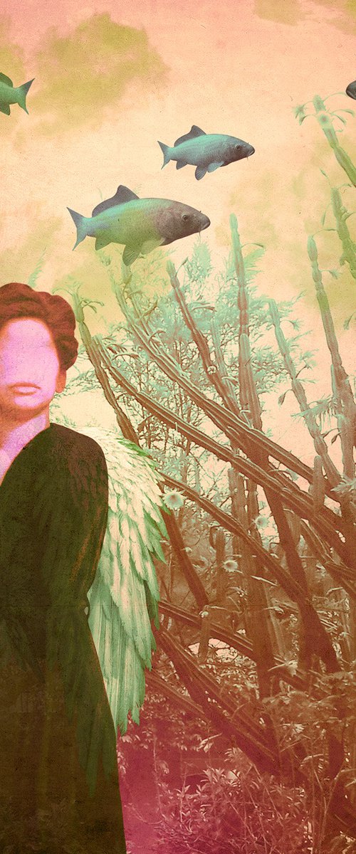 untitled - 31A by Rym Naim