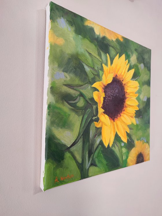 Sunflower