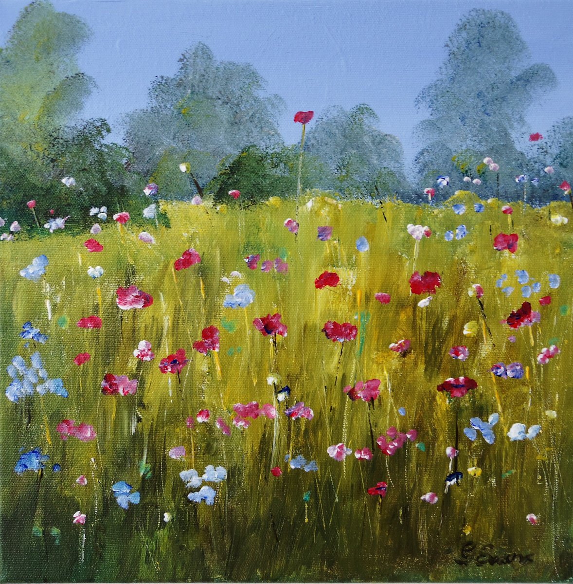 Wild Flower Field by Graham Evans