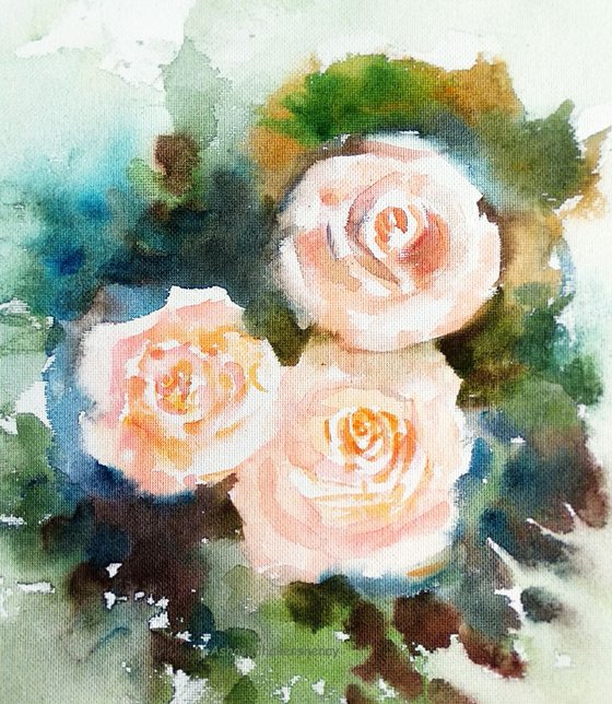 Three cream roses