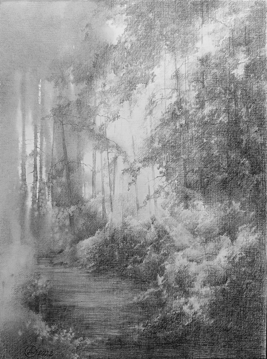 Graphic Landscape Pencil Drawing By Oksana Duchenchuk, 12 X 16", In The Forest, Original Artwork