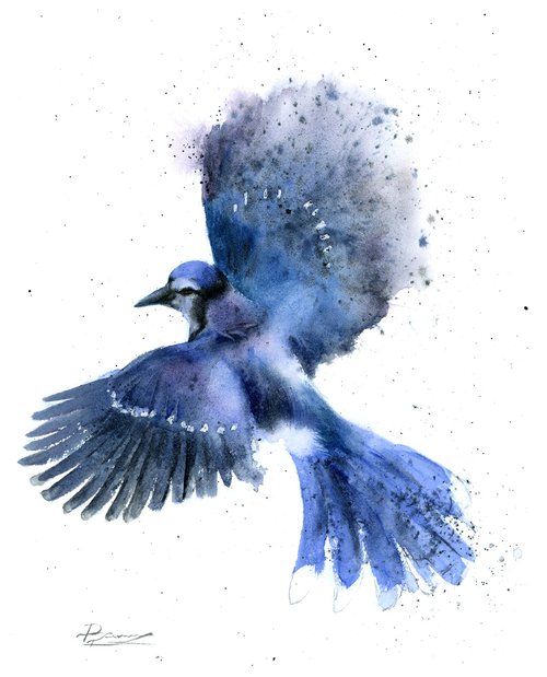 Blue Jay in Flight by Olga Shefranov (Tchefranov)