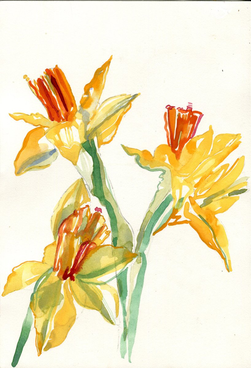 Daffodils by Hannah Clark