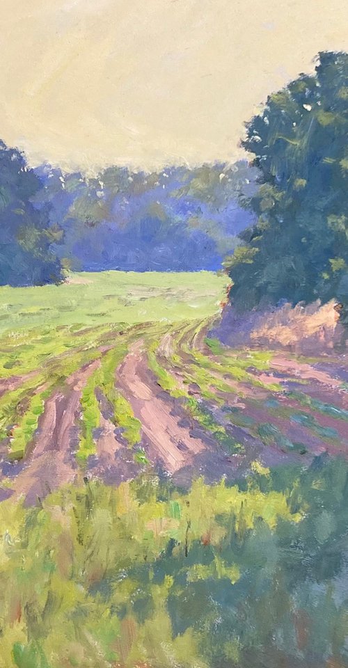 July Morning Vaughan Ms by Thomas Wilson