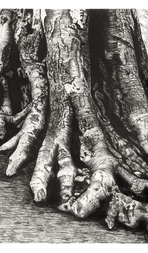 The Essence of my Friends #3 by Stefan Fierros