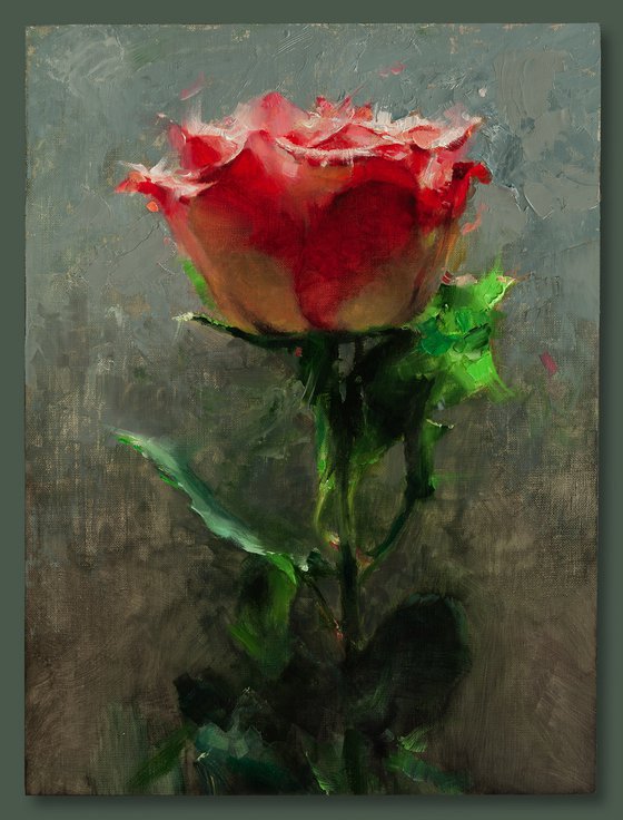 Portrait of the rose