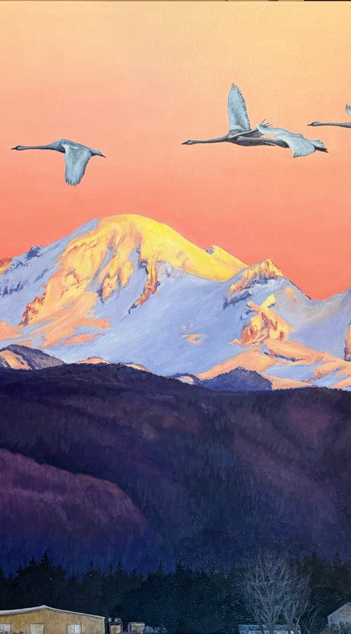 Swans over Mt Baker by Sandra Bryant