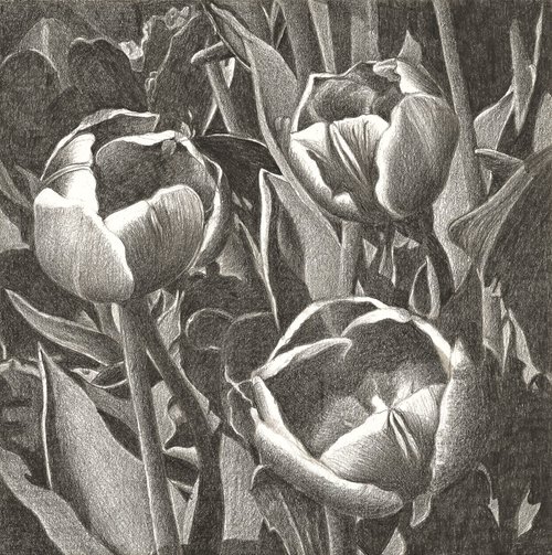 TULIP FEVER VIII by Nives Palmić