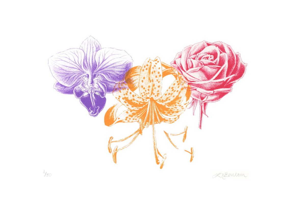 Illustrative Botanical Screenprint By Louise Boulton, 17 X 11", Orchid, Lily &Amp; Rose, Original Artwork